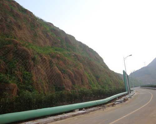 ���P(gu��n)��߅�·��o�W(w��ng)