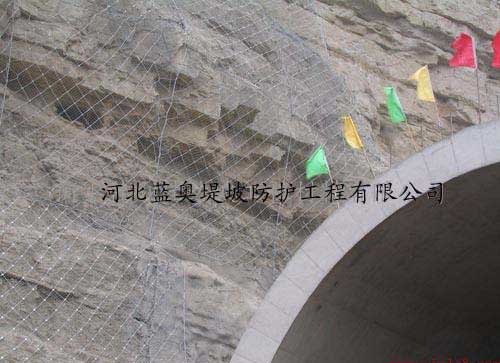 ����߅�·��o�W(w��ng)