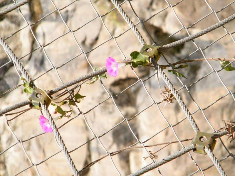 䁒�߅�·��o(h��)ע�����(xi��ng)